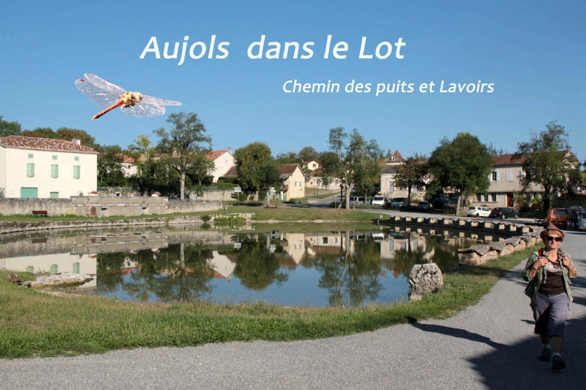 Villa La Longere Du Moulin Laburgade Esterno foto
